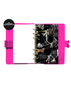 A6 - Financial Freedom Dashboard