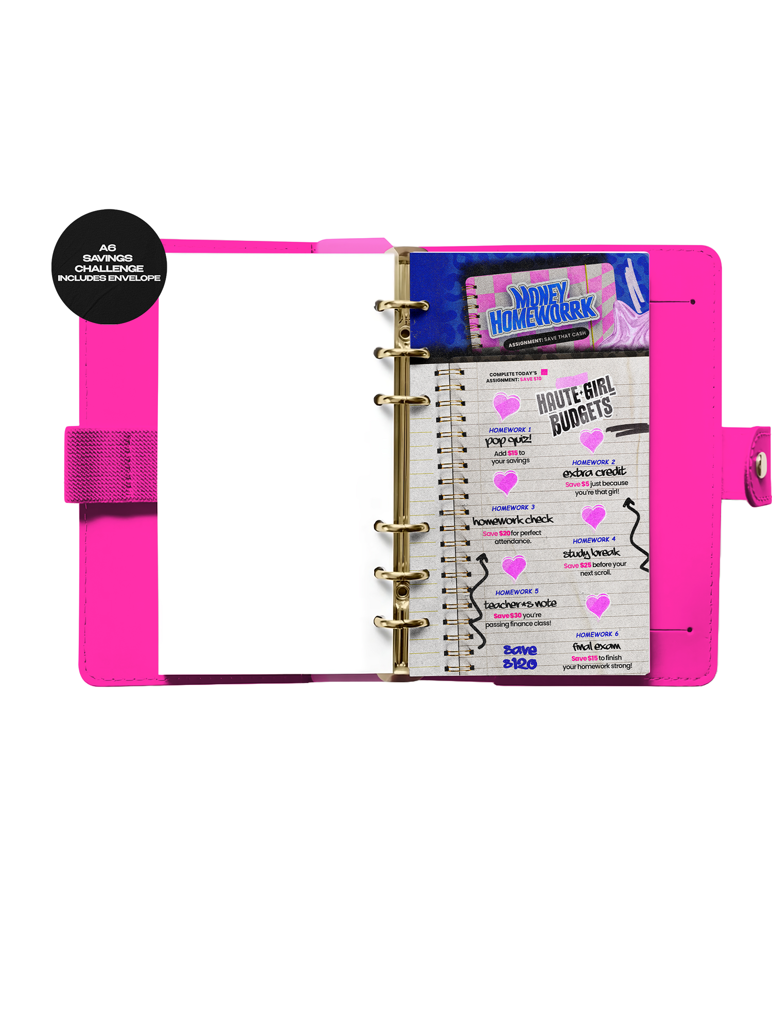 Y2K Money Homework - A6 Laminated Savings Challenge Bundle